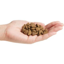 Purina Pro Plan Adult Sensitive Skin & Stomach Salmon & Rice Formula Dry Dog Food -ROYAL CANIN Shop 101143 PT2. AC SS1800 V1701881289