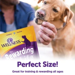 Wellness The Rewarding Life Lamb & Salmon Soft & Chewy Natural Dog Treats -ROYAL CANIN Shop 104301 PT4. AC SS1800 V1646347053