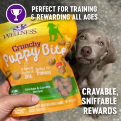 Wellness Crunchy Puppy Bites Chicken & Carrots Recipe Grain-Free Natural Dog Treats -ROYAL CANIN Shop 104848 PT2. AC SS1800 V1609283280