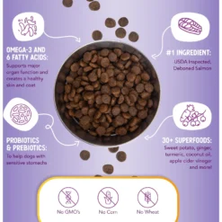 Health Extension Grain-Free Salmon Recipe Dry Dog Food 12 Health Extension Grain-Free Salmon Recipe Dry Dog Food -ROYAL CANIN Shop 105280 PT4. AC SS1800 V1678387508