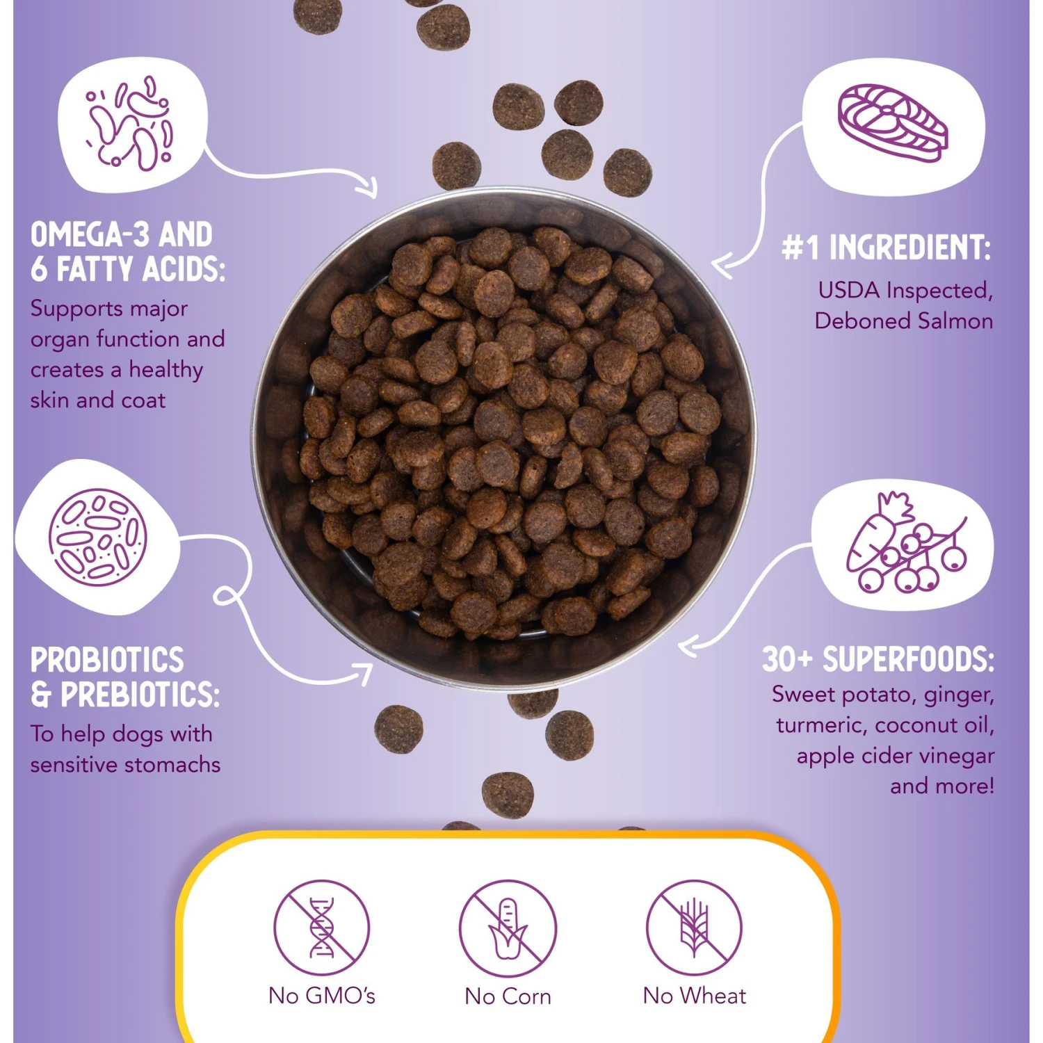 Health Extension Grain-Free Salmon Recipe Dry Dog Food 5 Health Extension Grain-Free Salmon Recipe Dry Dog Food - Image 5