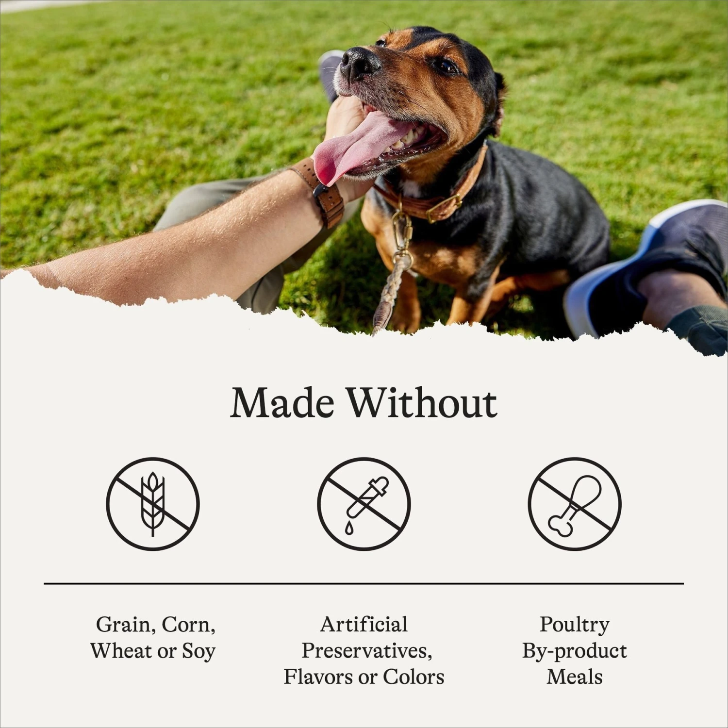 American Journey Beef & Sweet Potato Recipe Grain-Free Dry Dog Food 7 American Journey Beef & Sweet Potato Recipe Grain-Free Dry Dog Food - Image 7