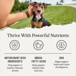 American Journey Puppy Lamb & Sweet Potato Recipe Grain-Free Dry Dog Food -ROYAL CANIN Shop 108436 PT4. AC SS1800 V1665438656