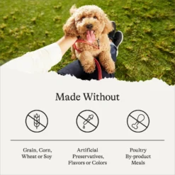 American Journey Puppy Lamb & Sweet Potato Recipe Grain-Free Dry Dog Food -ROYAL CANIN Shop 108436 PT6. AC SS1800 V1680545234