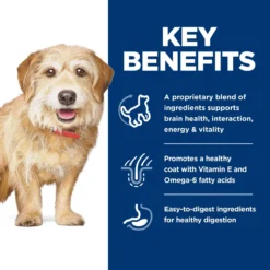Hill's Science Diet Adult 7+ Senior Vitality Small & Mini Chicken & Rice Recipe Dry Dog Food 14 Hill's Science Diet Adult 7+ Senior Vitality Small & Mini Chicken & Rice Recipe Dry Dog Food -ROYAL CANIN Shop 109455 PT5. AC SS1800 V1693497983