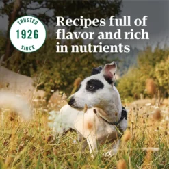 Nutro Natural Choice Small Breed Senior Chicken & Brown Rice Recipe Dry Dog Food -ROYAL CANIN Shop 109583 PT7. AC SS1800 V1691417418