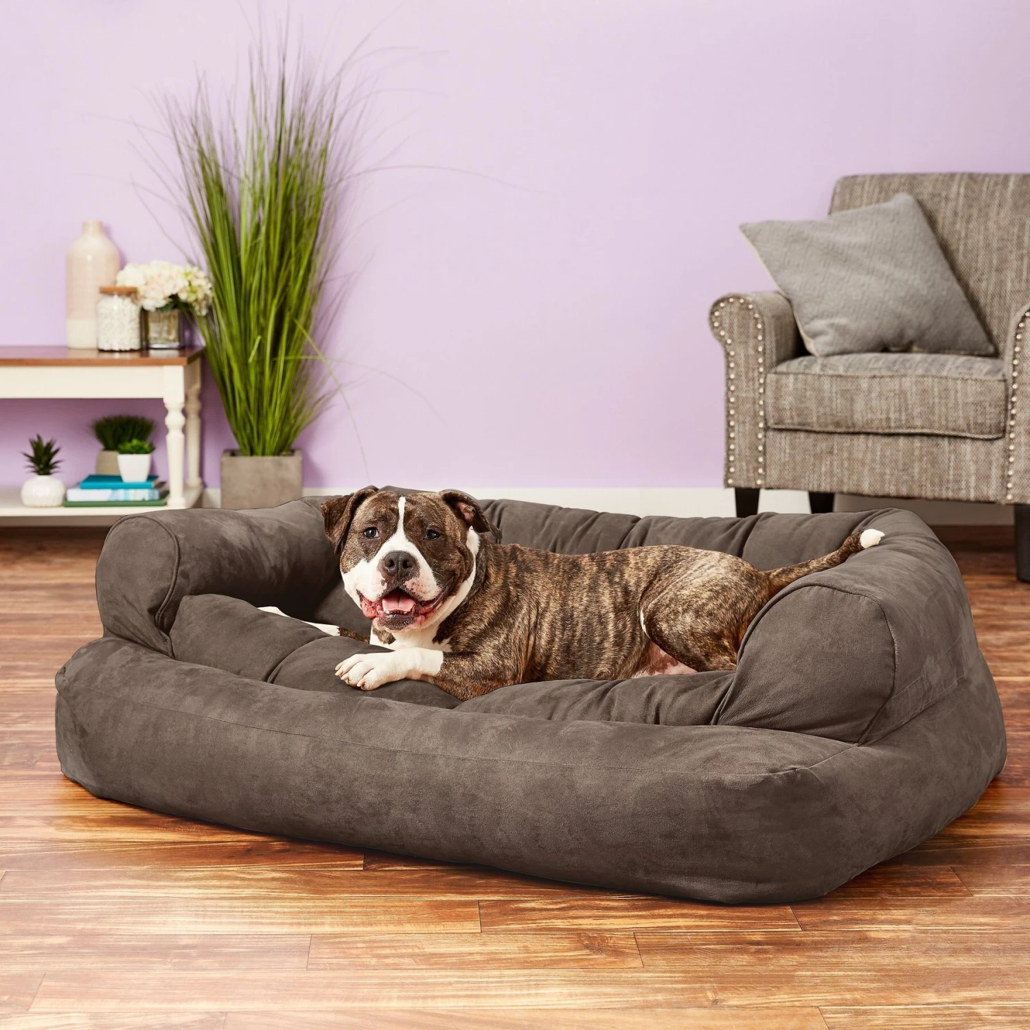 Snoozer Pet Products Luxury Overstuffed Cat & Dog Bed With Removable Cover 1 Snoozer Pet Products Luxury Overstuffed Cat & Dog Bed With Removable Cover