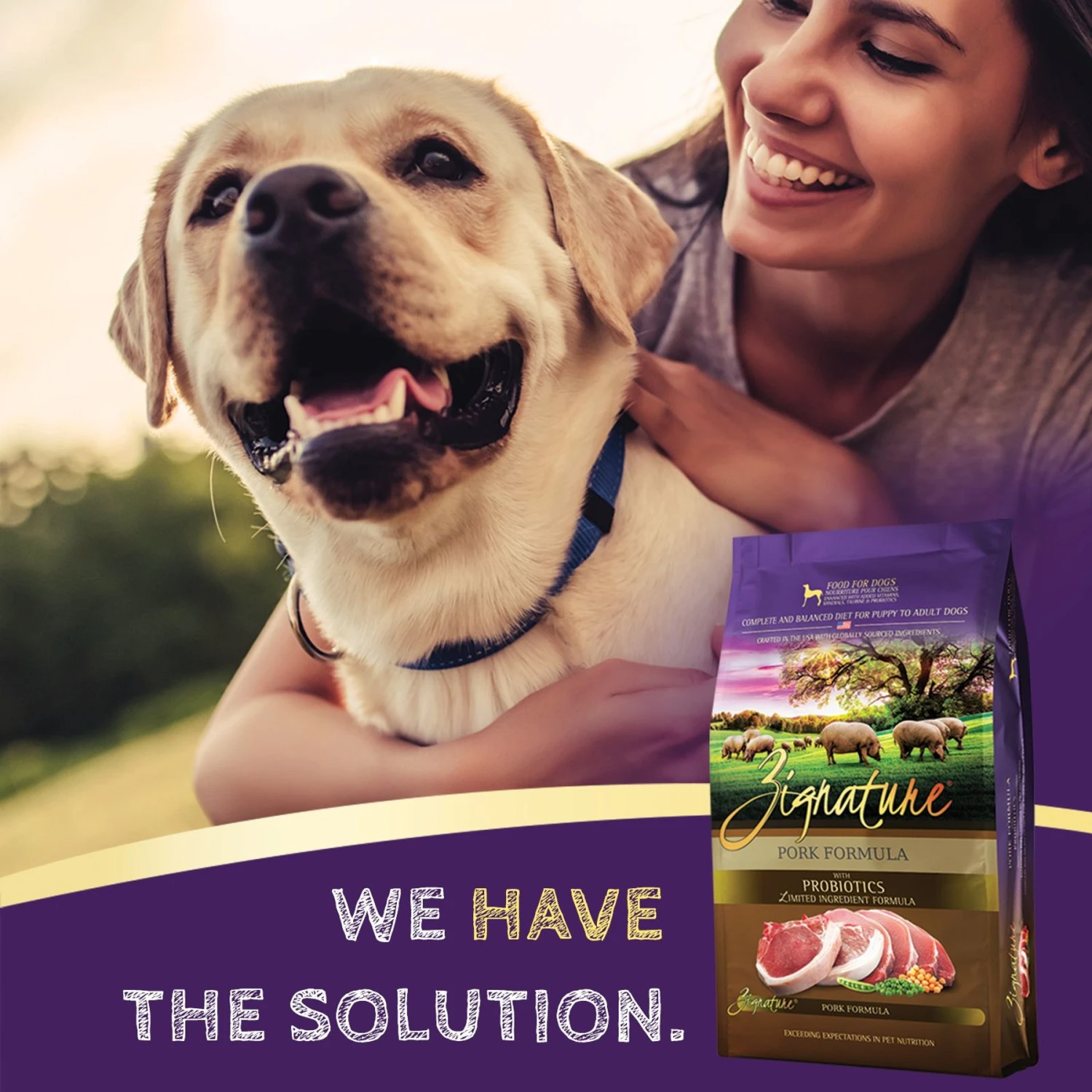 Zignature Pork Limited Ingredient Formula Dry Dog Food 5 Zignature Pork Limited Ingredient Formula Dry Dog Food - Image 5