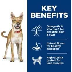 Hill's Science Diet Adult Chicken & Barley Recipe Dry Dog Food 14 Hill's Science Diet Adult Chicken & Barley Recipe Dry Dog Food -ROYAL CANIN Shop 114164 PT5. AC SS1800 V1598539875