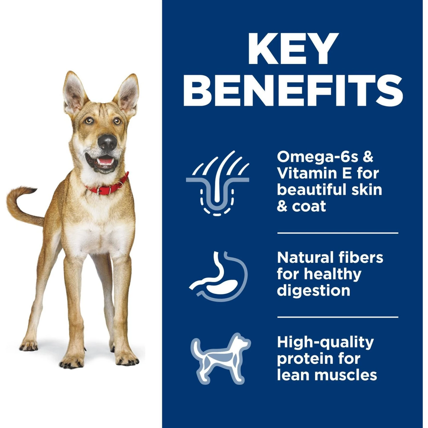 Hill's Science Diet Adult Chicken & Barley Recipe Dry Dog Food 6 Hill's Science Diet Adult Chicken & Barley Recipe Dry Dog Food - Image 6