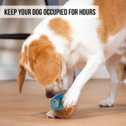 Pet Zone IQ Treat Dispenser Ball Dog Toy 10 Pet Zone IQ Treat Dispenser Ball Dog Toy -ROYAL CANIN Shop 115632 Pt3. AC SS1800 V1583771890