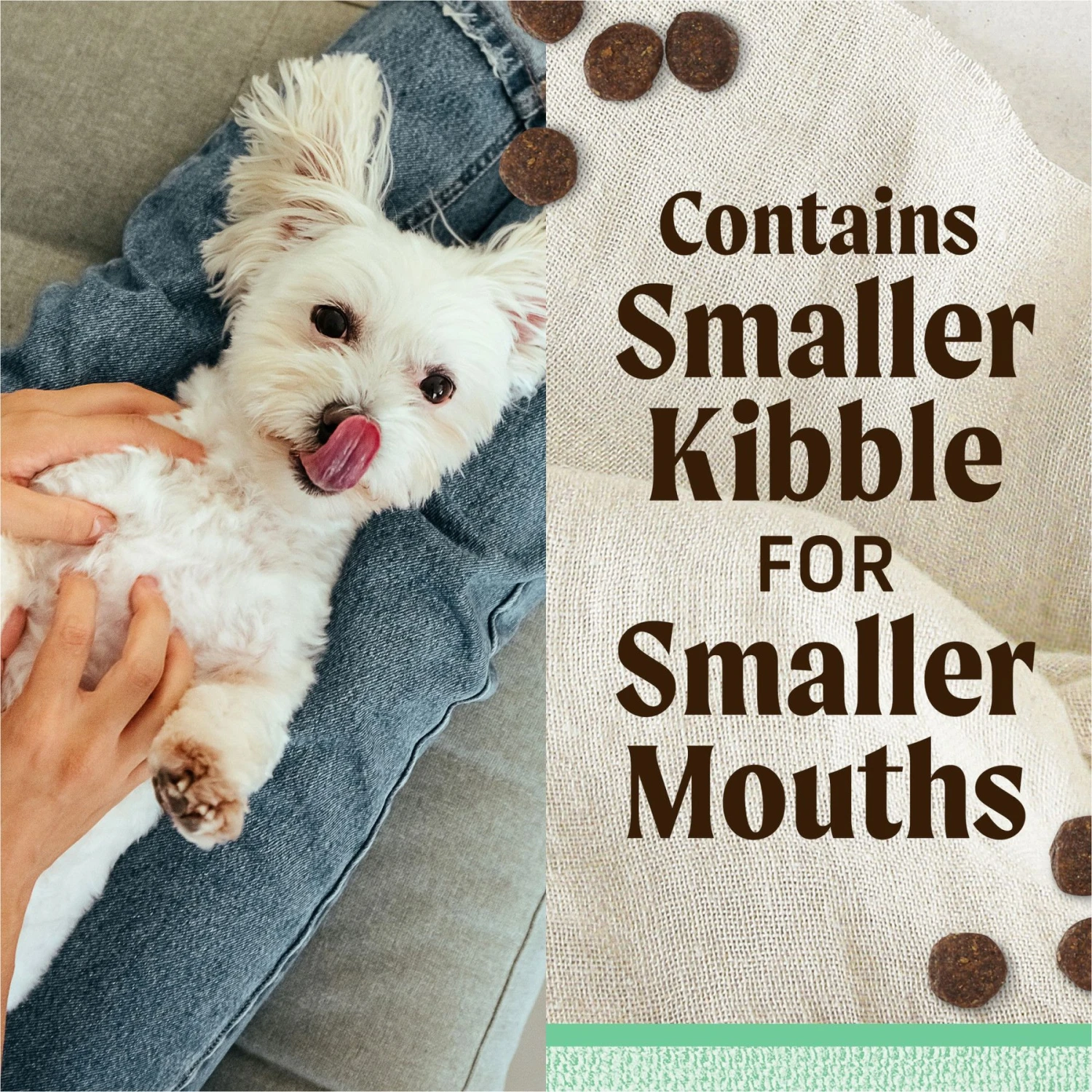 Merrick Lil' Plates Grain-Free Small Breed Dry Dog Food Senior Real Chicken + Sweet Potato Recipe 4 Merrick Lil' Plates Grain-Free Small Breed Dry Dog Food Senior Real Chicken + Sweet Potato Recipe - Image 4