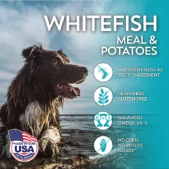 Wholesomes Grain-Free Whitefish Meal & Potatoes Formula Dry Dog Food, 35-lb Bag -ROYAL CANIN Shop 119454 PT3. AC SS1800 V1626366682