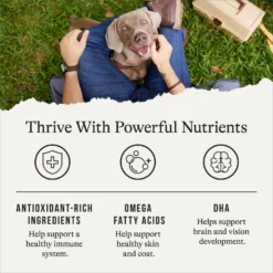 American Journey Limited Ingredient Salmon & Sweet Potato Recipe Grain-Free Dry Dog Food -ROYAL CANIN Shop 121276 PT4. AC SS1800 V1665438003