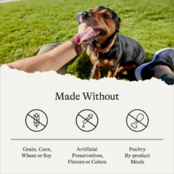 American Journey Limited Ingredient Duck & Sweet Potato Recipe Grain-Free Dry Dog Food -ROYAL CANIN Shop 121306 PT6. AC SS1800 V1680545231