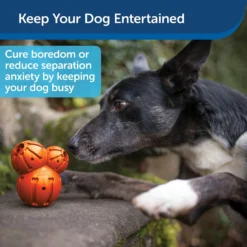 PetSafe Busy Buddy Barnacle Treat Dispenser Dog Toy -ROYAL CANIN Shop 121351 PT3. AC SS1800 V1599830771