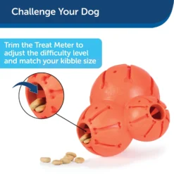PetSafe Busy Buddy Barnacle Treat Dispenser Dog Toy -ROYAL CANIN Shop 121351 PT7. AC SS1800 V1599830757