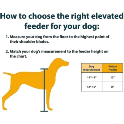 OurPets Comfort Elevated Dog & Cat Bowls -ROYAL CANIN Shop 122825 PT5. AC SS1800 V1539789718