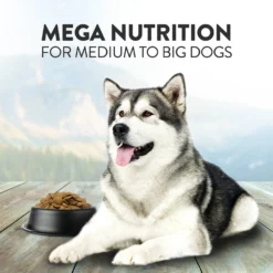 Addiction Mega Complete Balanced Grain-Free Medium To Large Breed Adult Dry Dog Food -ROYAL CANIN Shop 123903 PT4. AC SS1800 V1637711495