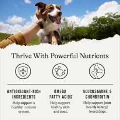 American Journey Protein & Grains Large Breed Chicken, Brown Rice & Vegetables Recipe Dry Dog Food -ROYAL CANIN Shop 125807 PT4. AC SS1800 V1668737458