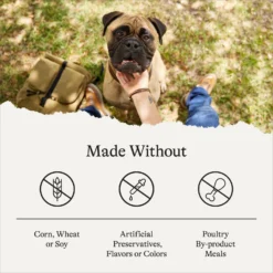 American Journey Protein & Grains Large Breed Chicken, Brown Rice & Vegetables Recipe Dry Dog Food -ROYAL CANIN Shop 125807 PT6. AC SS1800 V1680623751