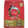 Purina ONE Natural SmartBlend Lamb & Rice Formula Dry Dog Food