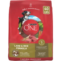 Purina ONE Natural SmartBlend Lamb & Rice Formula Dry Dog Food