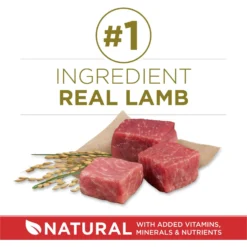 Purina ONE Natural SmartBlend Lamb & Rice Formula Dry Dog Food -ROYAL CANIN Shop 126355 PT2. AC SS1800 V1676319354