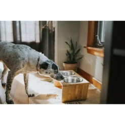 Pawfect Pets Premium Non-Skid Elevated Dog & Cat Bowl -ROYAL CANIN Shop 127480 PT4. AC SS1800 V1627612941