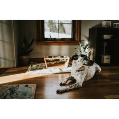 Pawfect Pets Premium Non-Skid Elevated Dog & Cat Bowl -ROYAL CANIN Shop 127480 PT5. AC SS1800 V1627617104