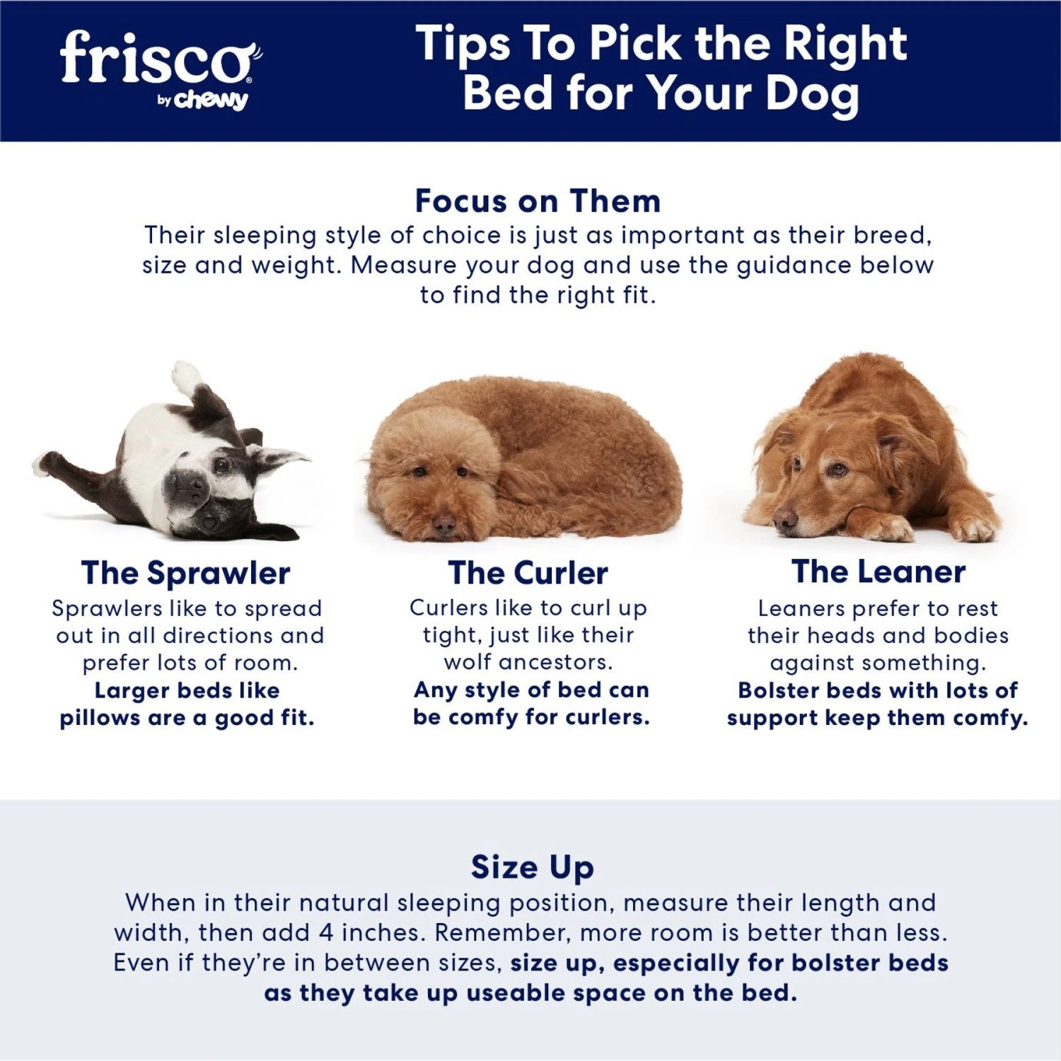 Frisco Plush Orthopedic Bolster Dog Bed W/Removable Cover 5 Frisco Plush Orthopedic Bolster Dog Bed W/Removable Cover - Image 5