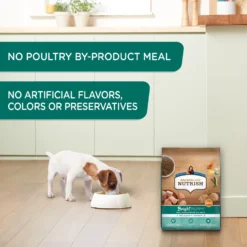Rachael Ray Nutrish Bright Puppy Natural Real Chicken & Brown Rice Recipe Dry Dog Food 13 Rachael Ray Nutrish Bright Puppy Natural Real Chicken & Brown Rice Recipe Dry Dog Food -ROYAL CANIN Shop 129819 PT4. AC SS1800 V1657655411