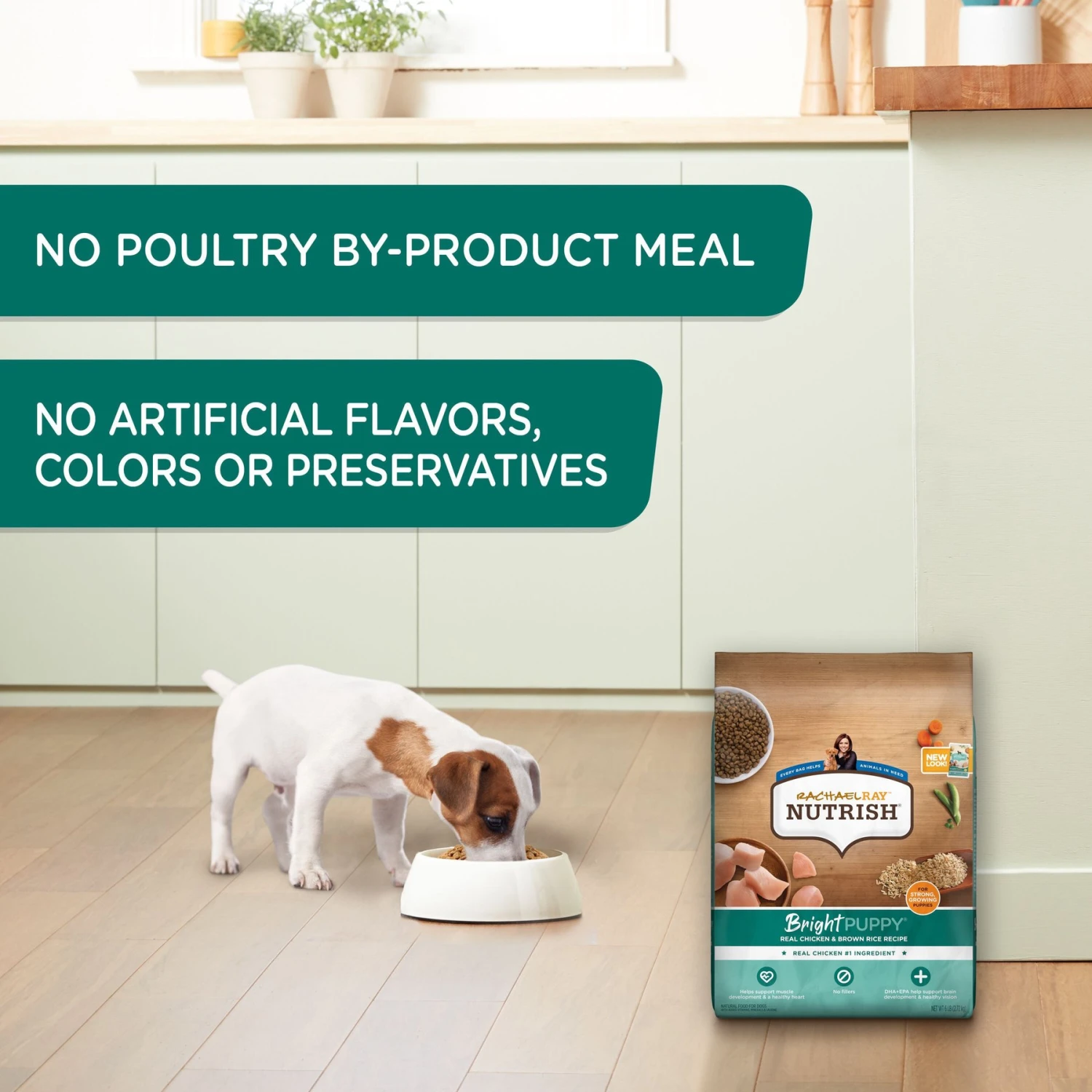 Rachael Ray Nutrish Bright Puppy Natural Real Chicken & Brown Rice Recipe Dry Dog Food 5 Rachael Ray Nutrish Bright Puppy Natural Real Chicken & Brown Rice Recipe Dry Dog Food - Image 5