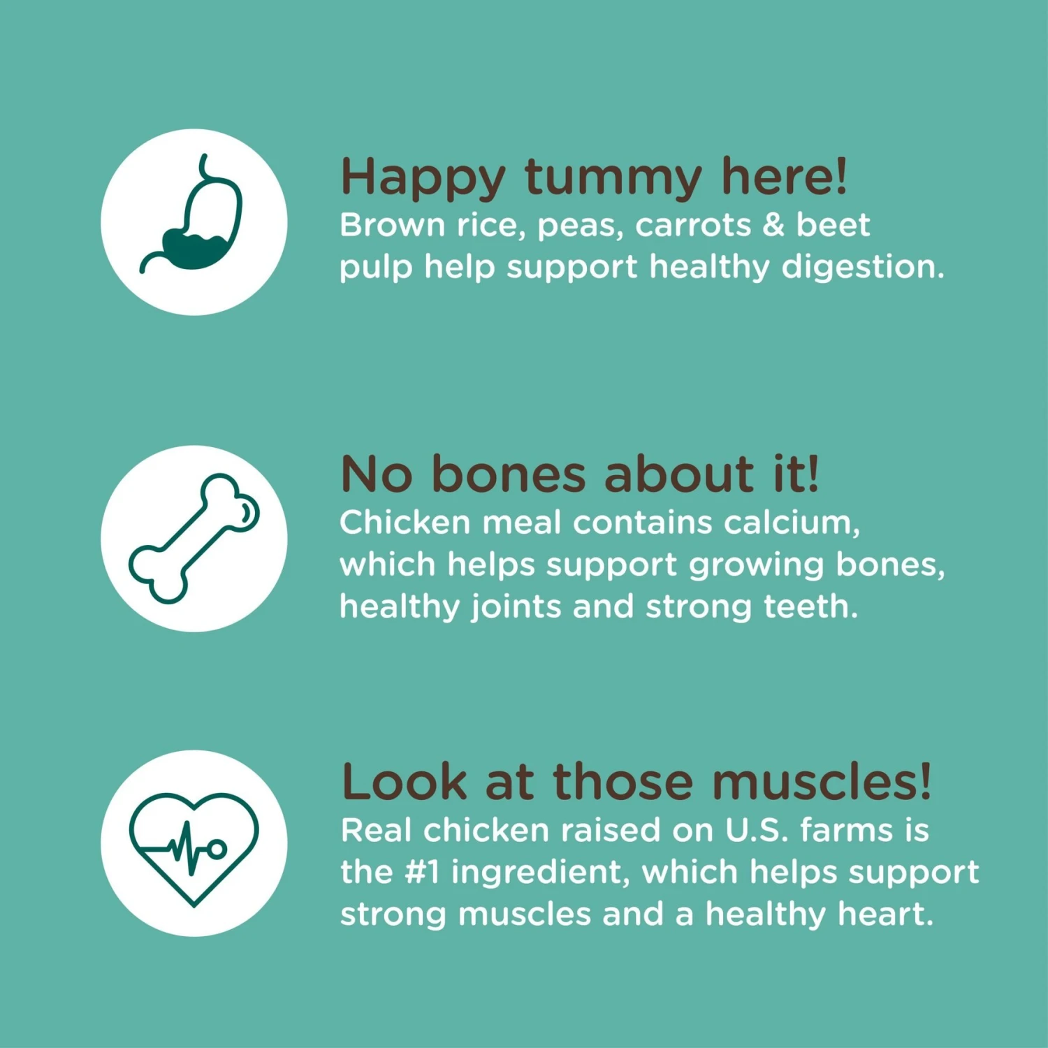 Rachael Ray Nutrish Bright Puppy Natural Real Chicken & Brown Rice Recipe Dry Dog Food 6 Rachael Ray Nutrish Bright Puppy Natural Real Chicken & Brown Rice Recipe Dry Dog Food - Image 6