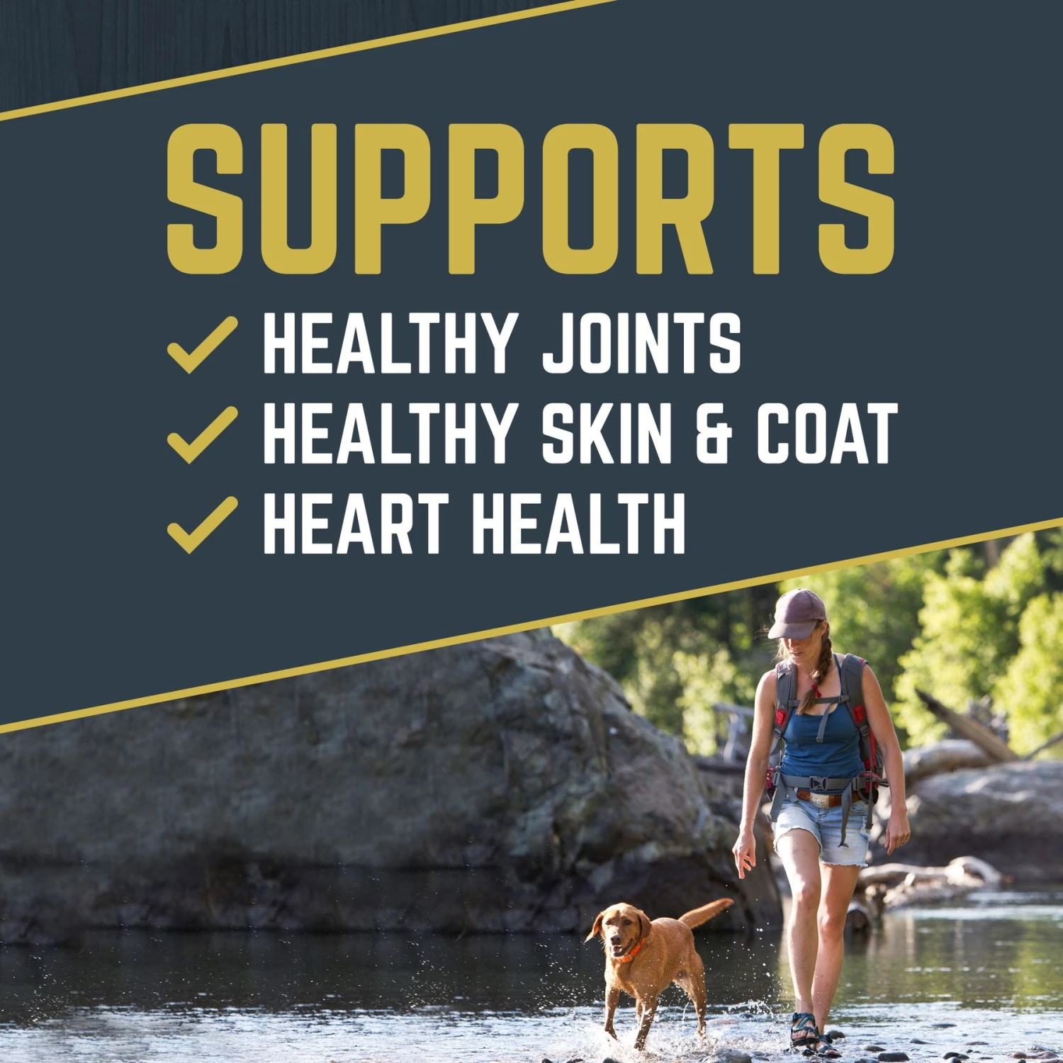 Black Gold Explorer Chicken Meal & Brown Rice Formula Dry Dog Food, 40-lb Bag 2 Black Gold Explorer Chicken Meal & Brown Rice Formula Dry Dog Food, 40-lb Bag - Image 2