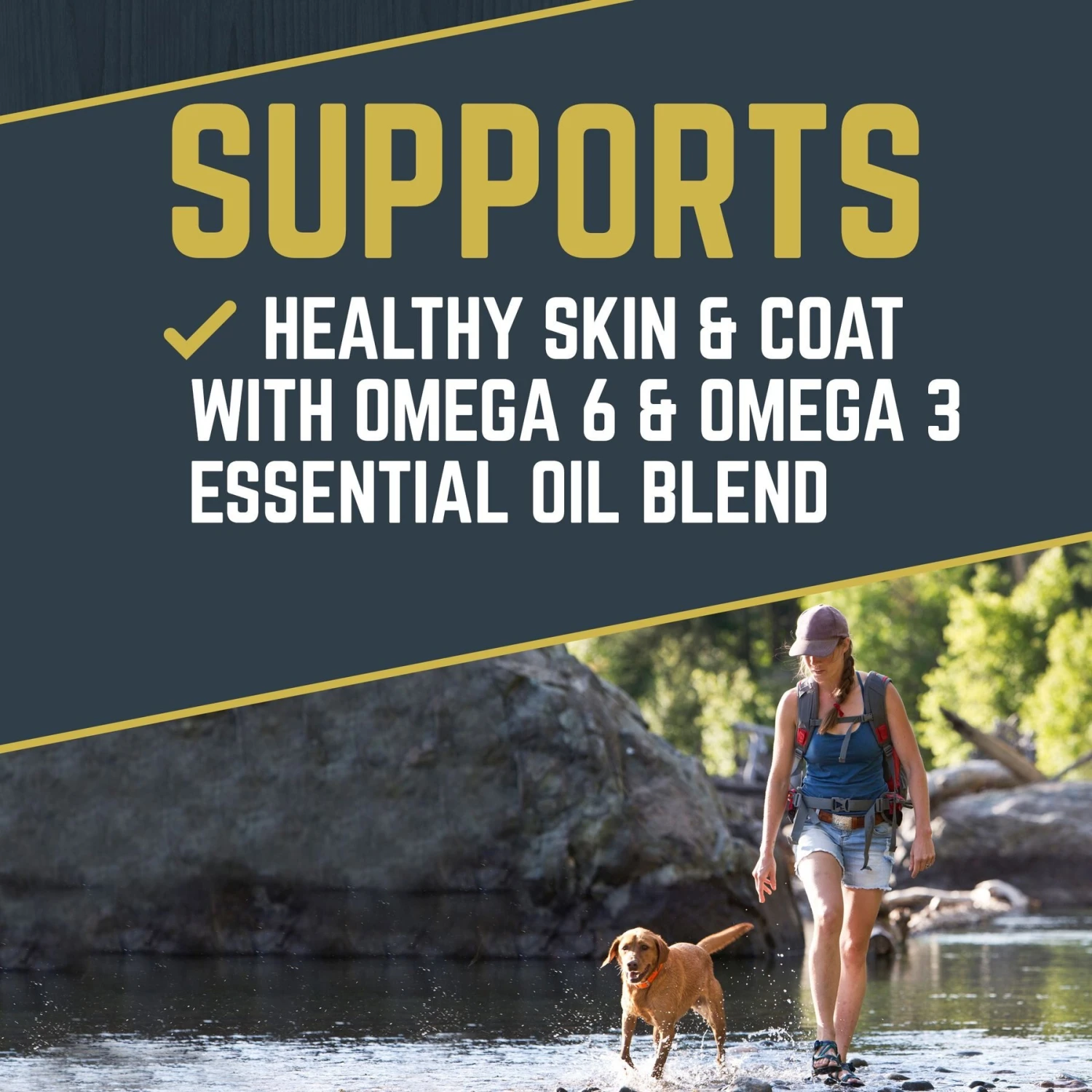 Black Gold Explorer Sensitive Skin & Coat Ocean Fish Meal & Oat Recipe Dry Dog Food, 40-lb Bag 2 Black Gold Explorer Sensitive Skin & Coat Ocean Fish Meal & Oat Recipe Dry Dog Food, 40-lb Bag - Image 2