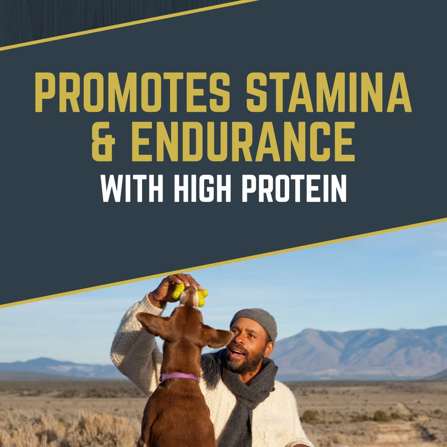 Black Gold Explorer Sensitive Skin & Coat Ocean Fish Meal & Oat Recipe Dry Dog Food, 40-lb Bag 3 Black Gold Explorer Sensitive Skin & Coat Ocean Fish Meal & Oat Recipe Dry Dog Food, 40-lb Bag - Image 3