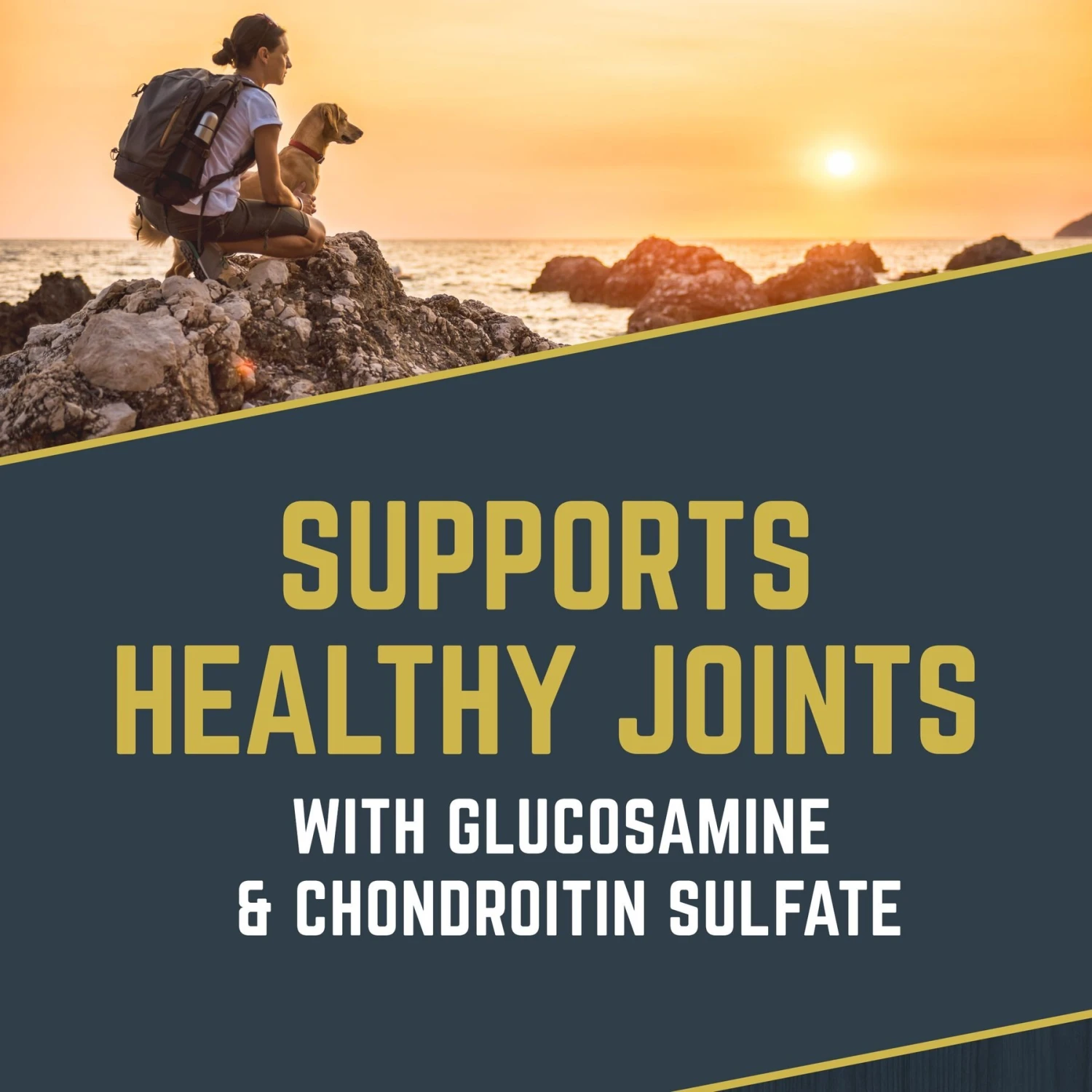 Black Gold Explorer Mature 7+ Formula Dry Dog Food, 40-lb Bag 5 Black Gold Explorer Mature 7+ Formula Dry Dog Food, 40-lb Bag - Image 5