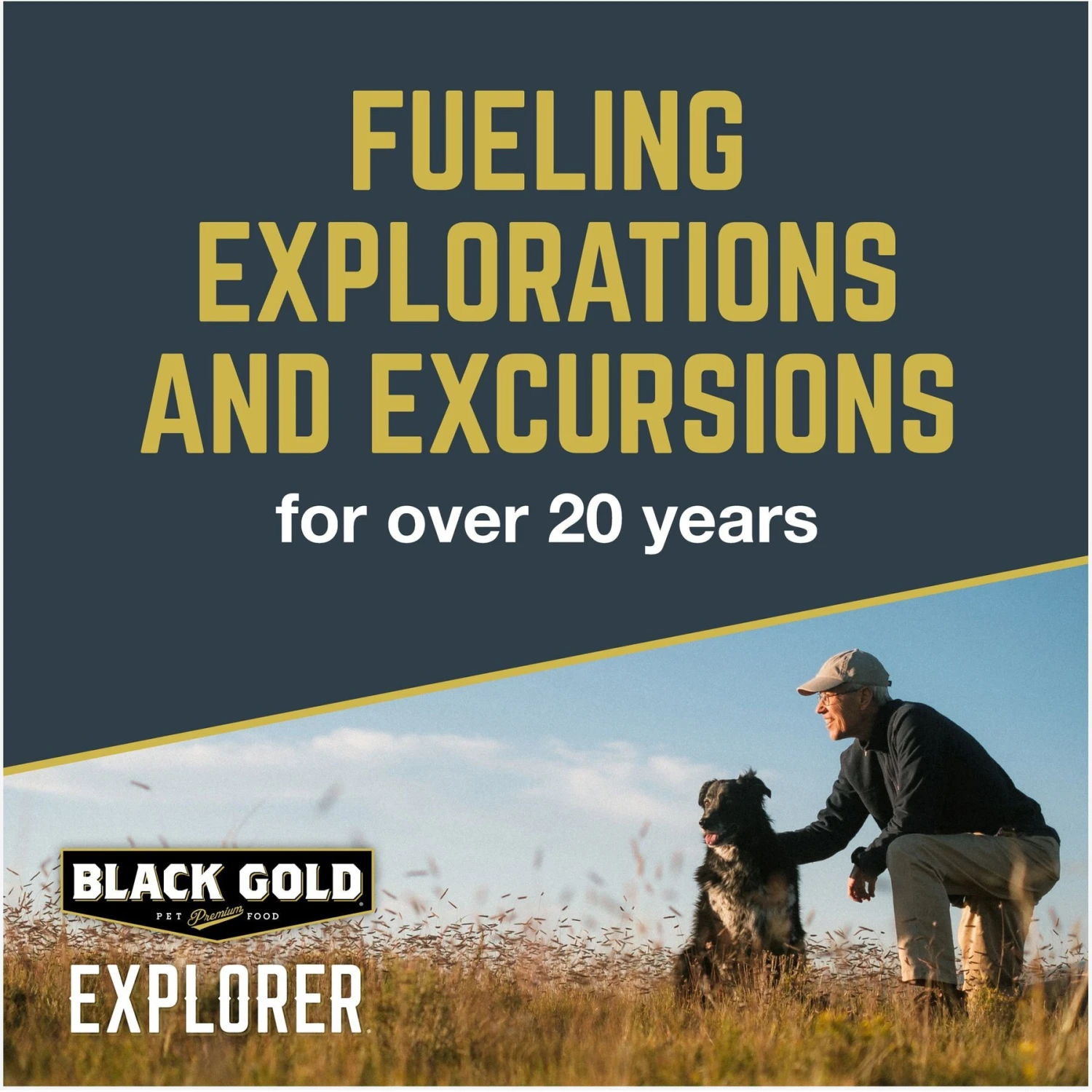 Black Gold Explorer Mature 7+ Formula Dry Dog Food, 40-lb Bag 6 Black Gold Explorer Mature 7+ Formula Dry Dog Food, 40-lb Bag - Image 6