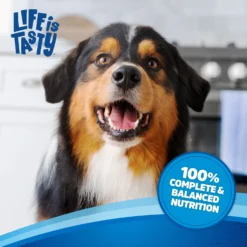 Kibbles 'n Bits Original Savory Beef & Chicken Flavors Dry Dog Food -ROYAL CANIN Shop 134039 PT5. AC SS1800 V1693496079