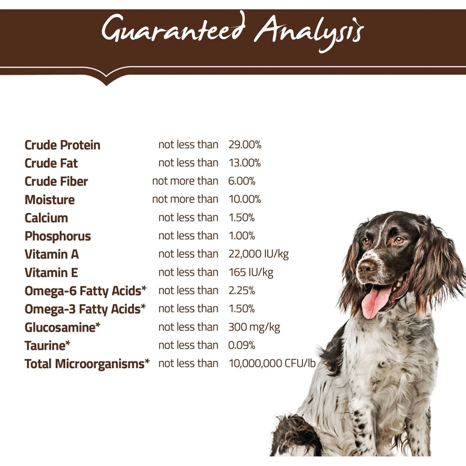 Holistic Select Adult Health Duck Meal Recipe Grain-Free Dry Dog Food 4 Holistic Select Adult Health Duck Meal Recipe Grain-Free Dry Dog Food - Image 4