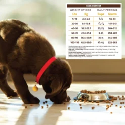 Holistic Select Adult Health Duck Meal Recipe Grain-Free Dry Dog Food 12 Holistic Select Adult Health Duck Meal Recipe Grain-Free Dry Dog Food -ROYAL CANIN Shop 134358 PT5. AC SS1800 V1660574177