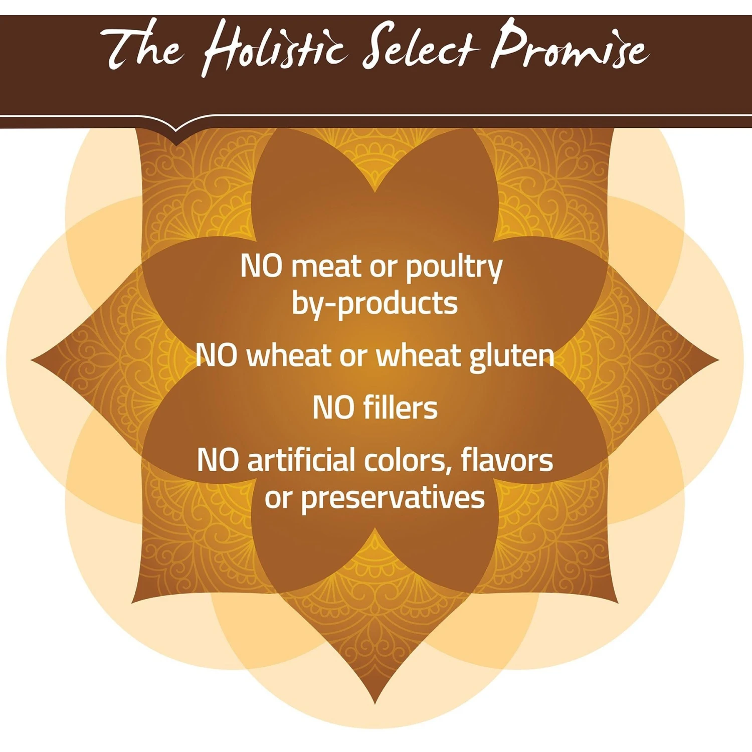 Holistic Select Adult Health Duck Meal Recipe Grain-Free Dry Dog Food 6 Holistic Select Adult Health Duck Meal Recipe Grain-Free Dry Dog Food - Image 6