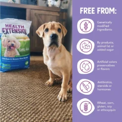 Health Extension Little Bites Chicken & Brown Rice Recipe Dry Dog Food 14 Health Extension Little Bites Chicken & Brown Rice Recipe Dry Dog Food -ROYAL CANIN Shop 135733 PT6. AC SS1800 V1595628353