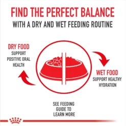Royal Canin Breed Health Nutrition Great Dane Adult Dry Dog Food -ROYAL CANIN Shop 138980 PT2. AC SS1800 V1695218669