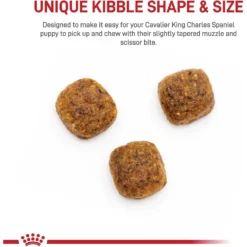 Royal Canin Breed Health Nutrition Cavalier King Charles Puppy Dry Dog Food -ROYAL CANIN Shop 138986 PT3. AC SS1800 V1700161978