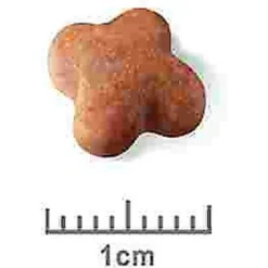 Royal Canin Breed Health Nutrition Jack Russell Terrier Puppy Dry Dog Food -ROYAL CANIN Shop 138997 PT7. AC SS1800 V1550513918