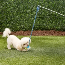 Pet Fit For Life Plush Wand Squeaky Dog Toy -ROYAL CANIN Shop 140063 PT2. AC SS1800 V1589320911