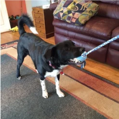 Pet Fit For Life Plush Wand Squeaky Dog Toy -ROYAL CANIN Shop 140063 PT4. AC SS1800 V1589320914