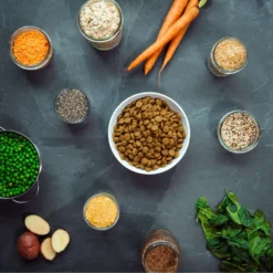 V-Dog Kind Kibble Mini Bites Vegan Adult Dry Dog Food 9 V-Dog Kind Kibble Mini Bites Vegan Adult Dry Dog Food -ROYAL CANIN Shop 140708 PT6. AC SS1800 V1668548200